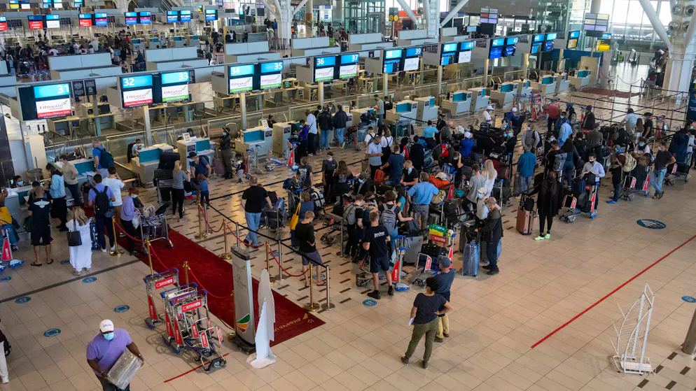 Arrest in Cape Town. Man hid 150 poisonous scorpions in his luggage