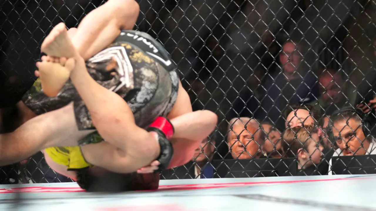 USA. Cage fight outside the White House – Trump celebrates his 80th birthday