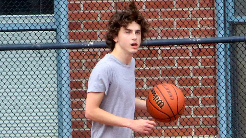 Après sa déception hollywoodienne. Timothée Chalamet préfère « largement» le basket aux Oscars