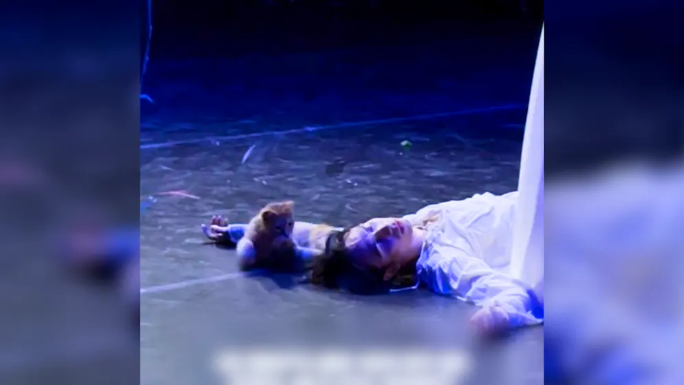The audience loves it. Cat steals the show from Romeo – Kitty crashes ballet performance