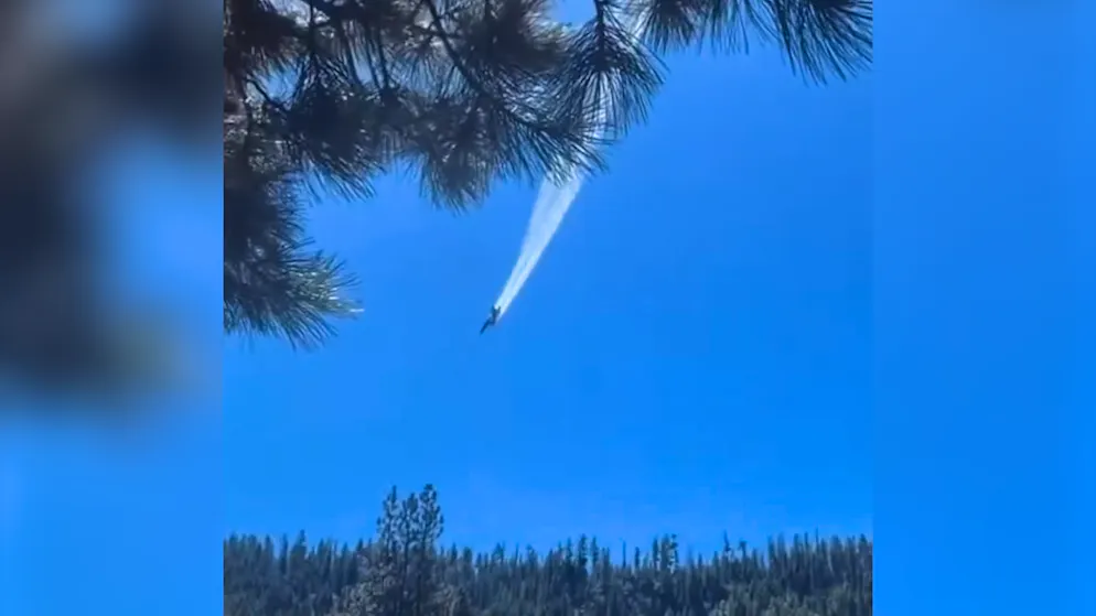 Fire breaks out. Fighter jet crashes into forest – video shows crash