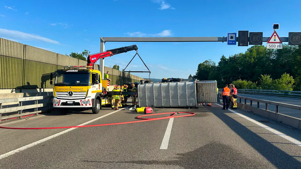 All animals were unharmed. Trailer Carrying Over 30 Sheep Overturns on the A1